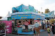 Peters Meeresfrüchte (@Foto: Martin Schmitz)